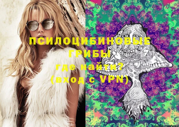 прущая мука Ельня