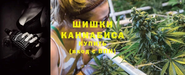дмт Елабуга