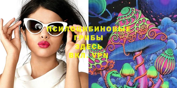 прущая мука Ельня