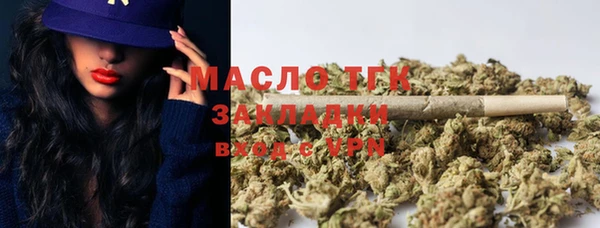 дмт Елабуга