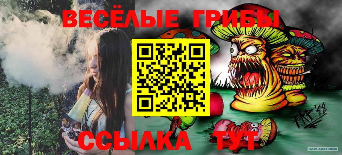 Галлюциногенные грибы Cubensis  Вход с VPN  где продают   Арзамас 
